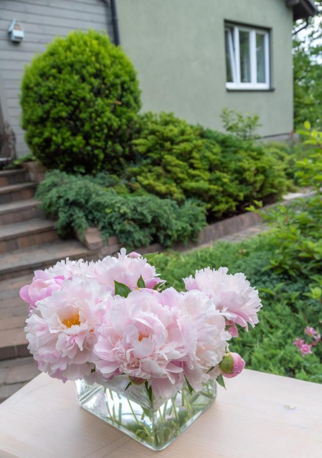Green House - Two Bedroom Apartment Bielsko-Biala Luaran gambar